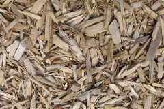 biomass boilers Tolladine